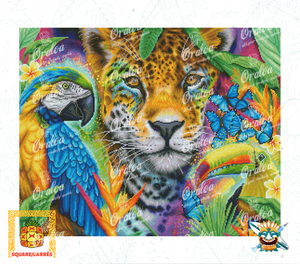 Zoom Diamond Painting Oraloa Faces of Nature - Creative kit