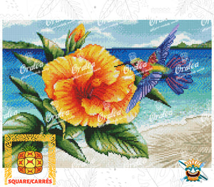 Endergebnis Oraloa Diamond Painting Beauty and Beach