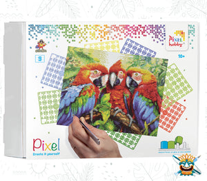 Pixel Hobby Oraloa – Aras-Familie