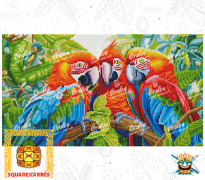Detail Diamond Painting Macaw Family Oraloa - Diamantstickerei