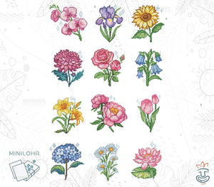 Flowers Edition 2 - Premium Postkarten-Edition